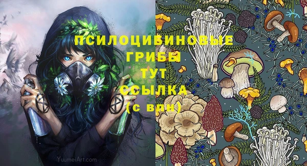 соль ск Алексеевка