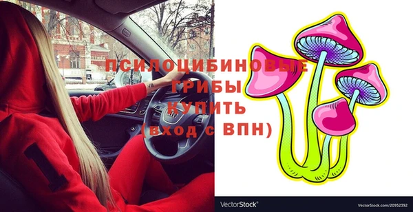 соль ск Алексеевка